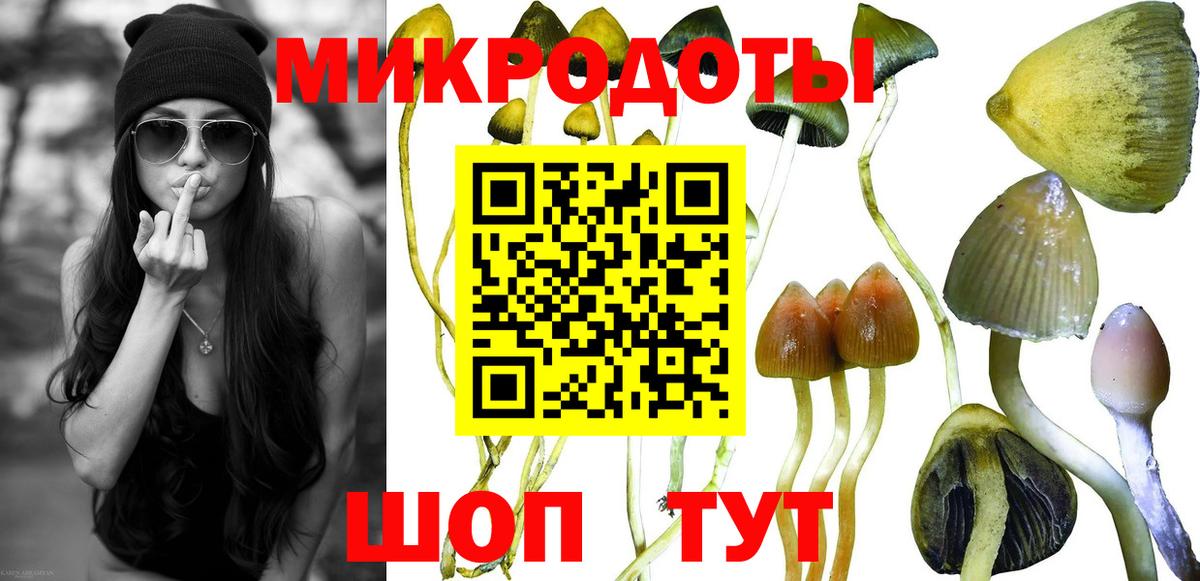 Галлюциногенные грибы Cubensis  Вход с VPN  Полысаево 
