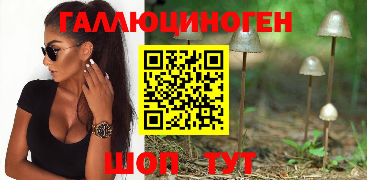 Псилоцибиновые грибы Cubensis Полысаево